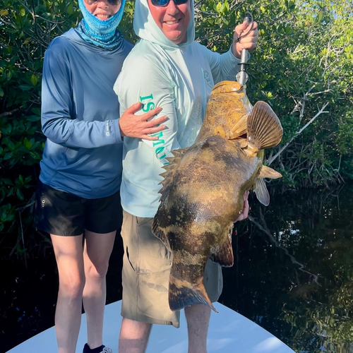 Variety show in the back today 🐟

#grouper #trout #redfish #evergladesnationalpark #backcountryfishing #floridakeys...