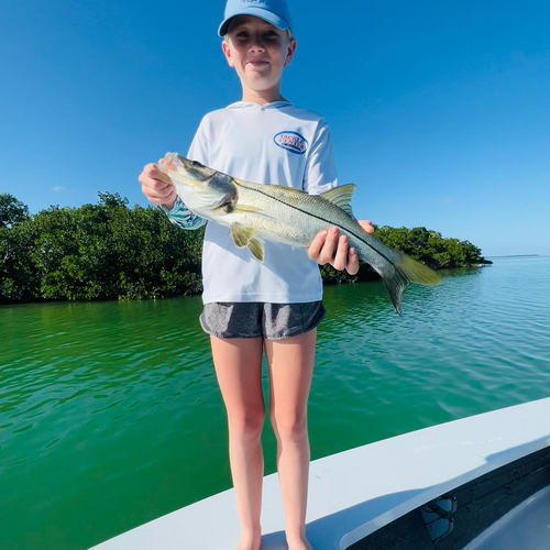 Pretty afternoon 

#snook #snapper #islamorada #floridakeys #funfishing #evergladesnationalpark #backcountryfishing